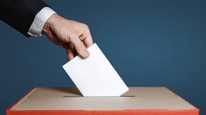 National Committee Elections for 2024 are here!